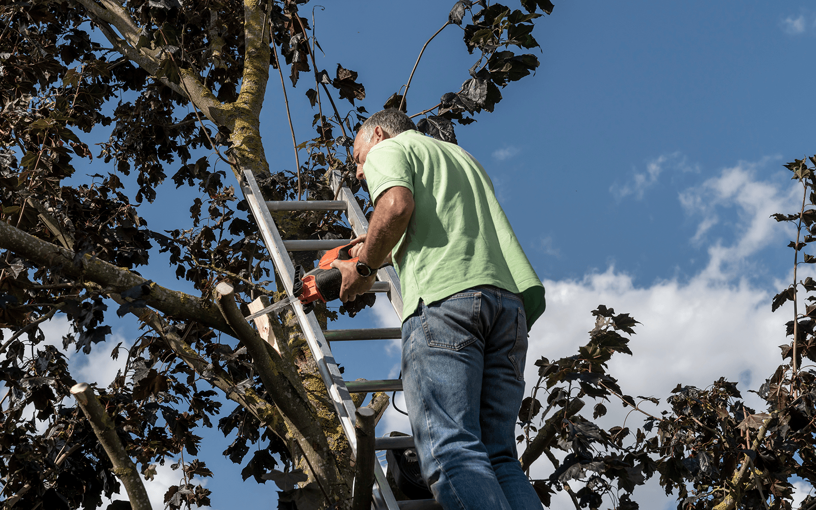 JVM Tree Surgery Work