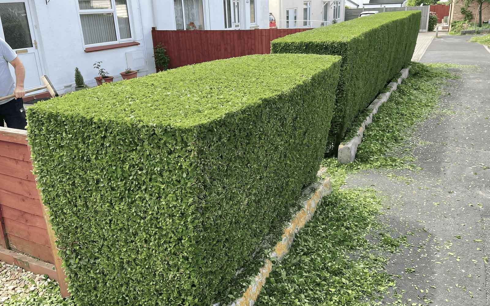 JVM Tree Surgery Work