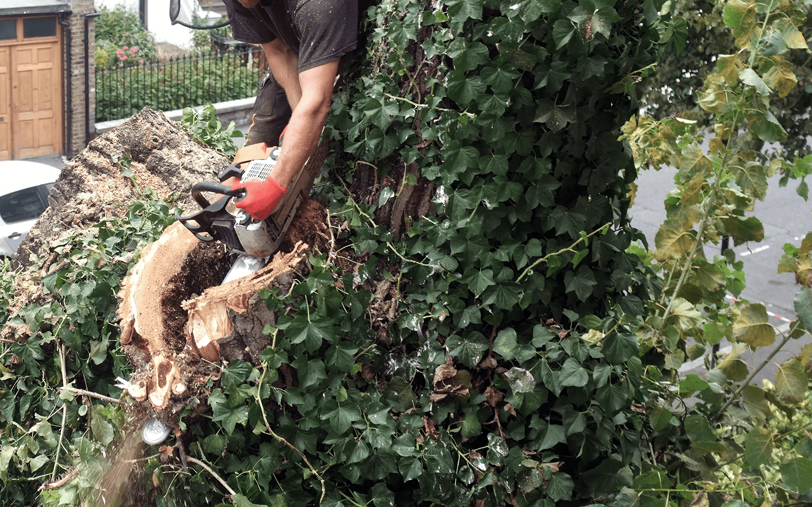 JVM Tree Surgery Work
