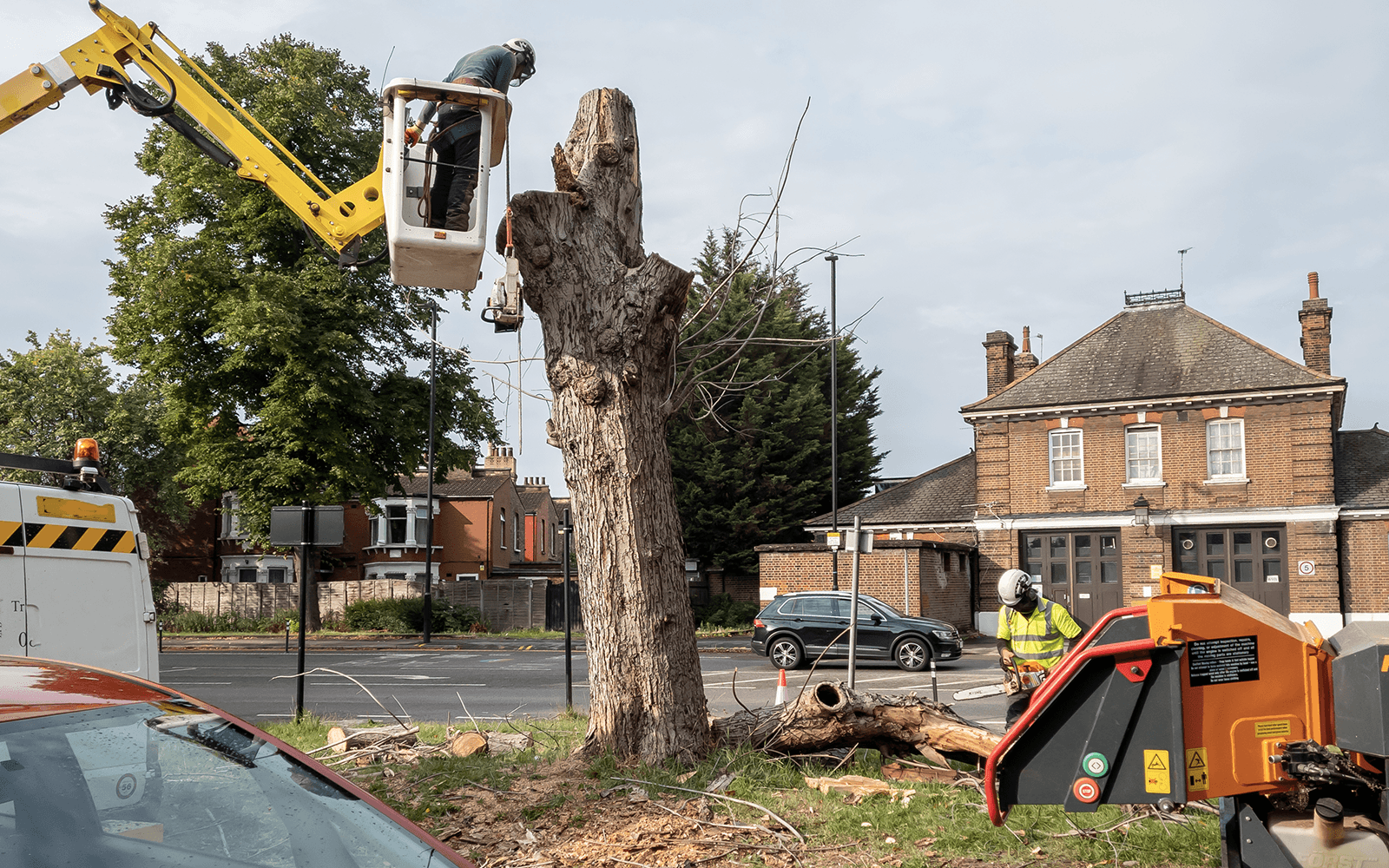 JVM Tree Surgery Work
