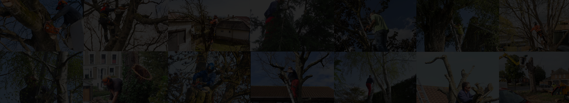 JVM Tree Surgery